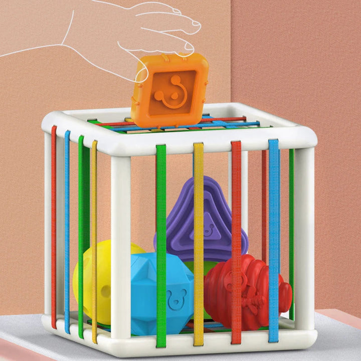 Baby Montessori Geometric Shape Blocks Cube Educational Motor Skill