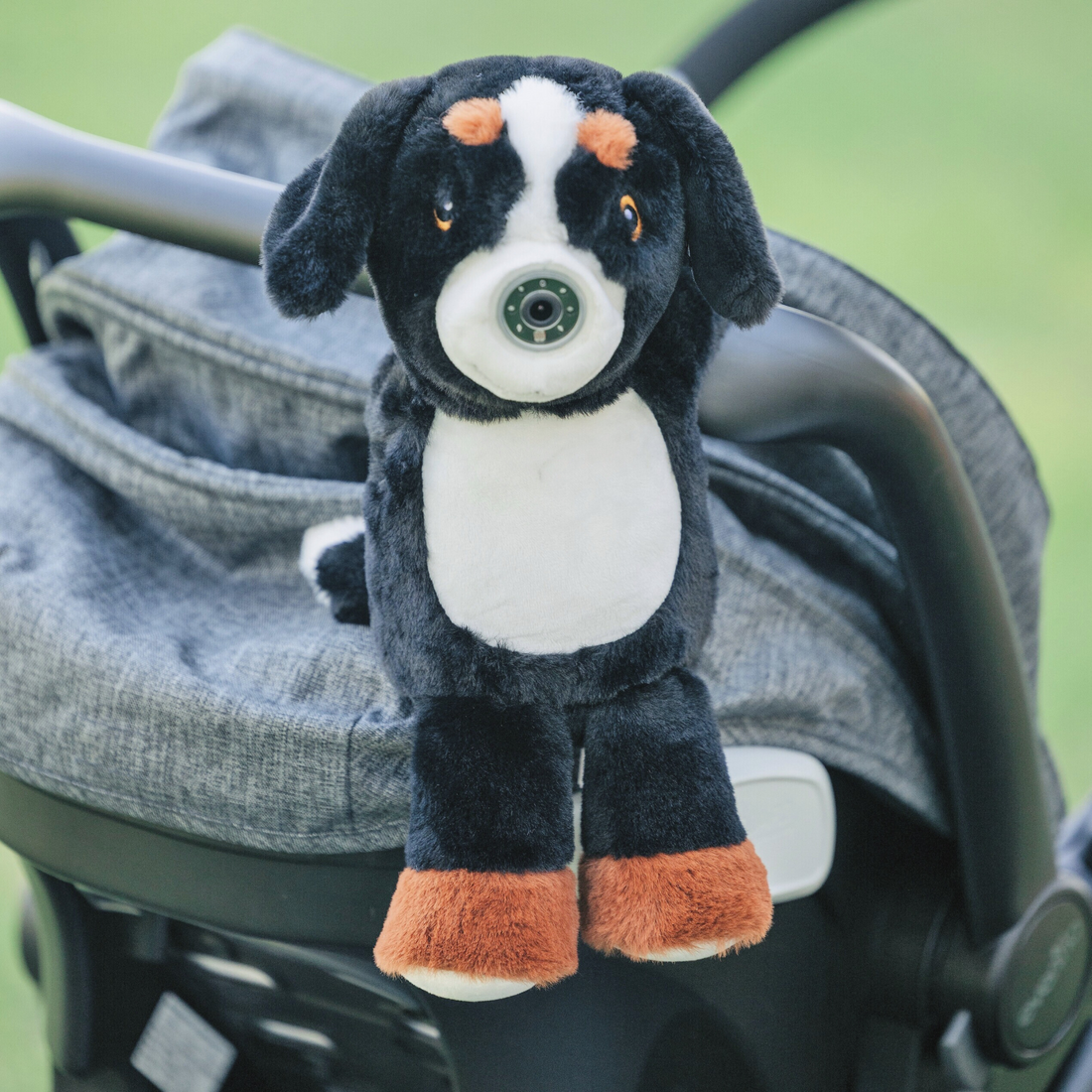 baby monitor | Cooper Canine