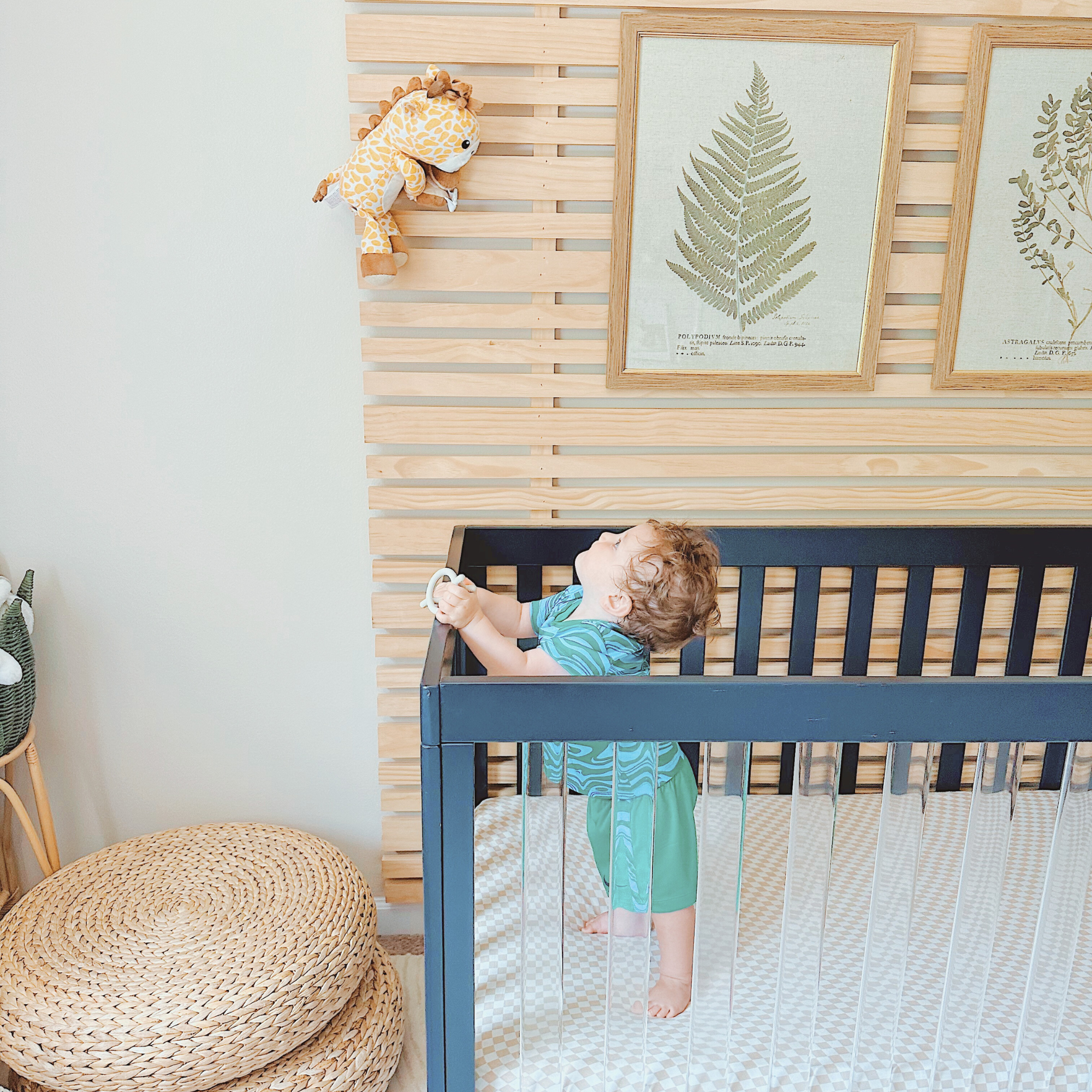 baby monitor | Jordan Giraffe