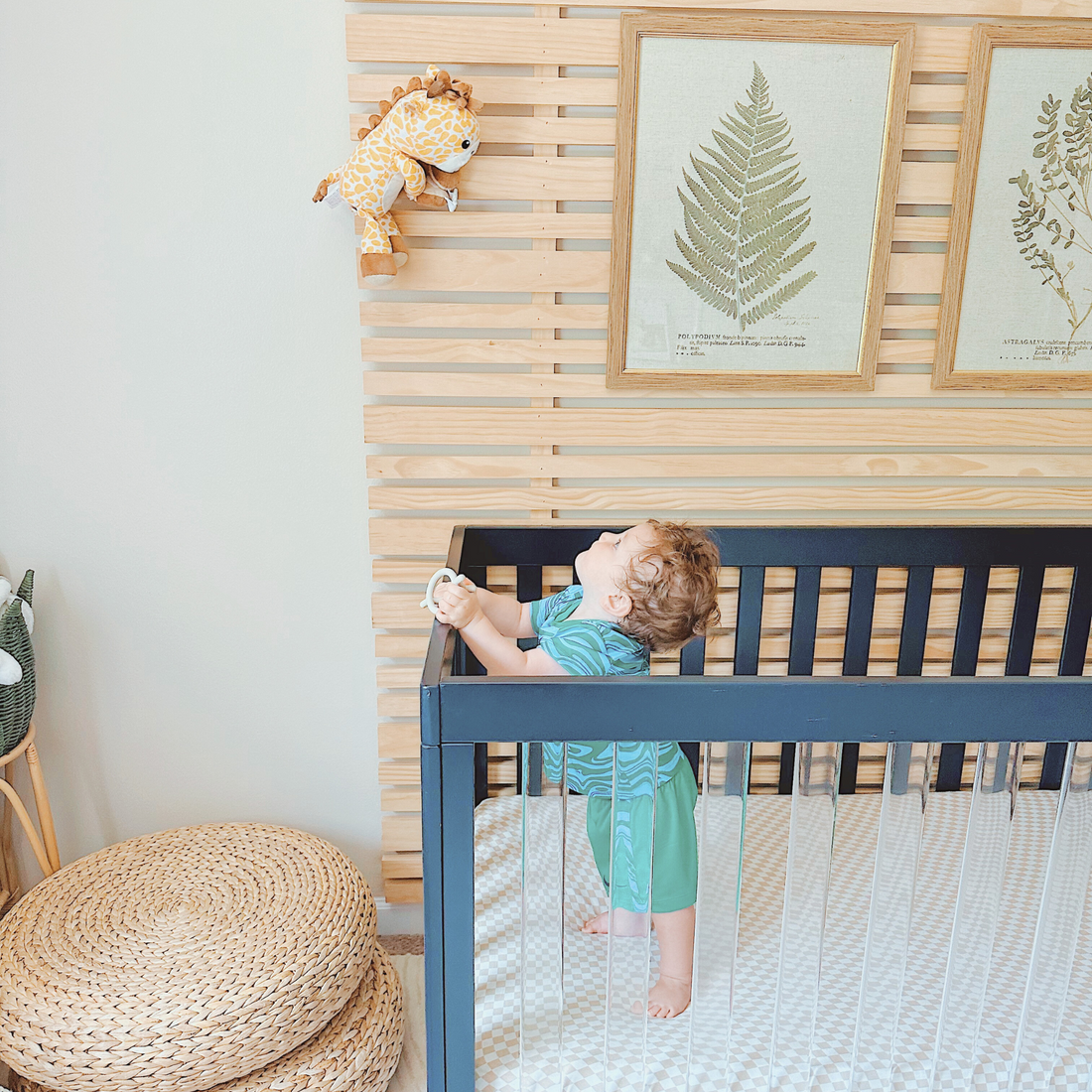 baby monitor | Jordan Giraffe