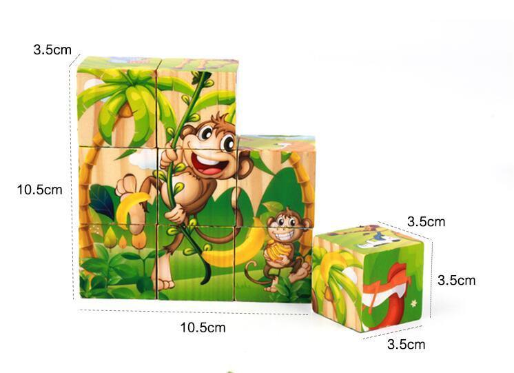 Nine Blocks Six Sided 3D Wooden Cube Puzzle Educational