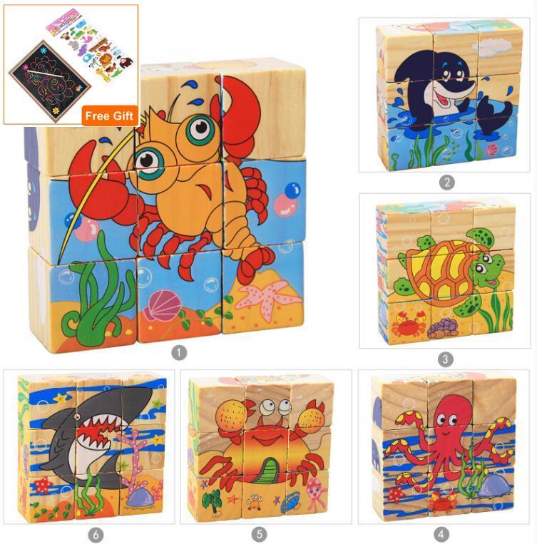 Nine Blocks Six Sided 3D Wooden Cube Puzzle Educational